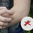 Kép 3/3 - Gardigo szúnyogírtó csapda