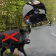 Kép 3/4 - Gardigo vadriasztó síp autóra