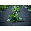 Kép 1/3 - Geocover geotextil (fekete 1,06*100  50 g)