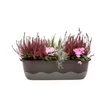 Kép 3/3 - plastia-balkonlada-onontozo-mareta-60cm-antracit