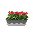 Kép 2/3 - plastia-balkonlada-onontozo-mareta-60cm-antracit