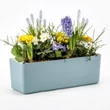 Kép 2/3 - plastia-berberis-onontozo-balkonlada-40cm-kek-feher
