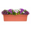 Kép 3/3 - plastia-berberis-trio-onontozo-viraglada-terrakotta