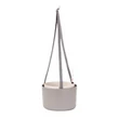 Kép 1/3 - Plastia cserép Berberis 26 cm akasztós taupe-e.csont