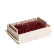 Kép 3/3 - plastia-microgreens-csiraztato-economy-ecsont