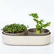 Kép 1/7 - Plastia Microgreens + ReGrow csíráztató edény (dupla)