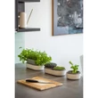 Kép 2/2 - plastia-tolita-balkonlada-30cm-bezs