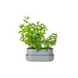 Kép 2/2 - plastia-tolita-balkonlada-30cm-szurke