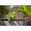 Kép 2/2 - upyard-magasagyas-eco-8060195cm-szurke
