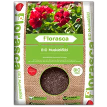 Florasca Bio muskátliföld 20 l