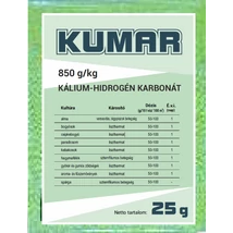 Kumar