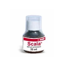 Scala