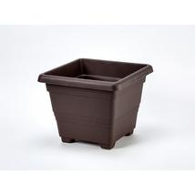 plastia-begonia-viraglada-35x35cm-csoki