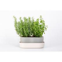 plastia-tolita-balkonlada-30cm-bezs