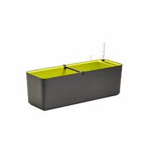 Plastia Berberis önöntöző balkonláda 60 cm antracit-zöld