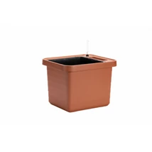 Plastia Berberis Uno önöntöző virágláda terrakotta