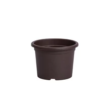 Plastia Narcis kaspó 28cm csoki