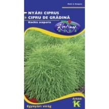 Nyári ciprus