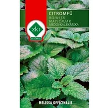 Fűszernövény - Citromfű