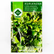 Fűszernövény - Koriander