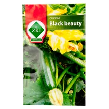 Cukkini - Black Beauty