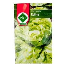 Saláta - Edina