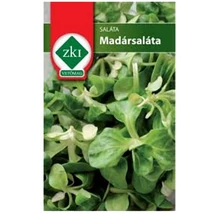 Saláta - Madársaláta
