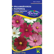 Pillangóvirág