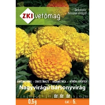 Nagyvirágú bársonyvirág - színkeverék