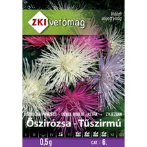 Őszirózsa - Tűszirmú színkeverék