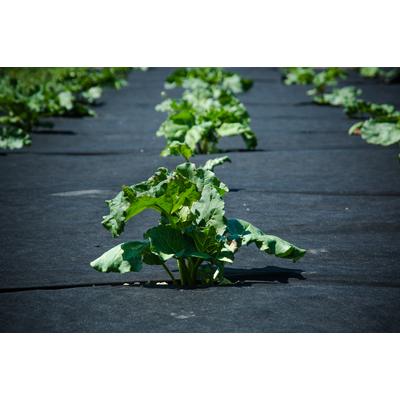 geocover-agrotextil-fekete-1,6x10m-50g