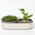 Plastia Microgreens + ReGrow csíráztató edény (dupla)