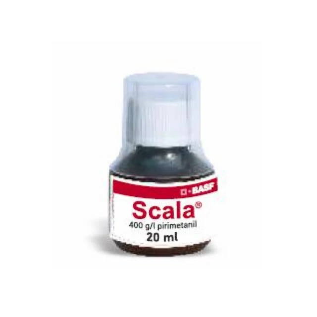 Scala