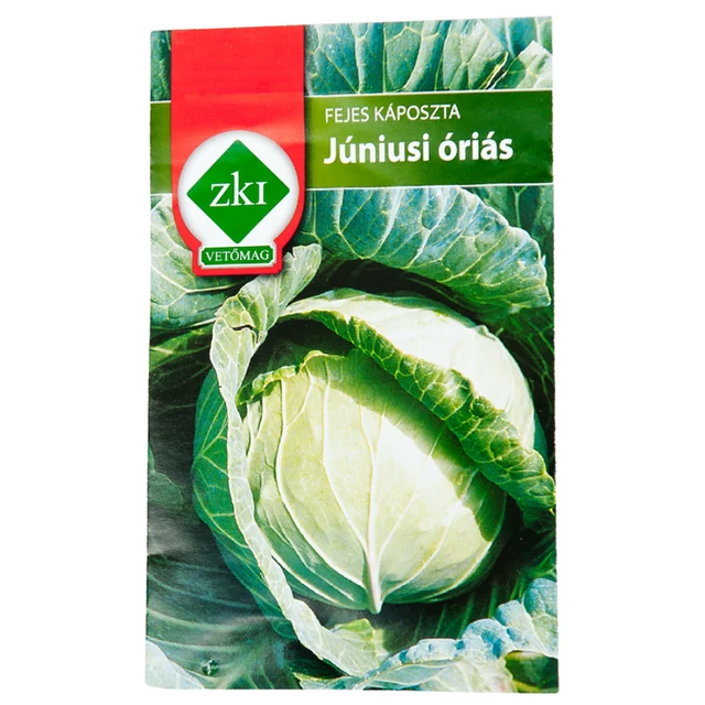 Fejes káposzta - Júniusi Óriás
