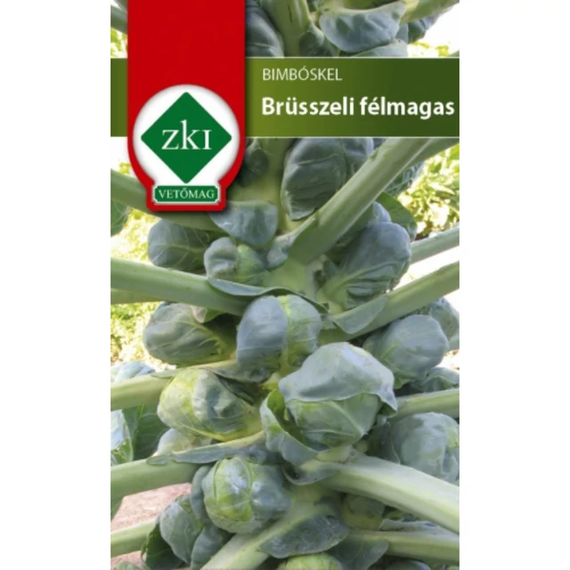 Bimbóskel - Brüsszeli félmagas