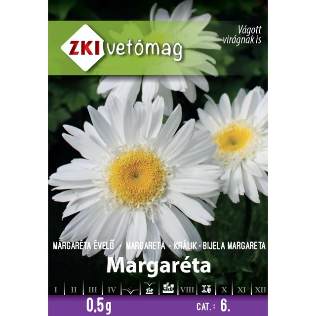 Évelő fehér margaréta - Maikönig