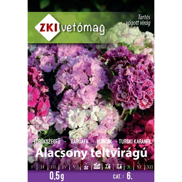 Törökszegfű - teltvirágú alacsony színkeverék