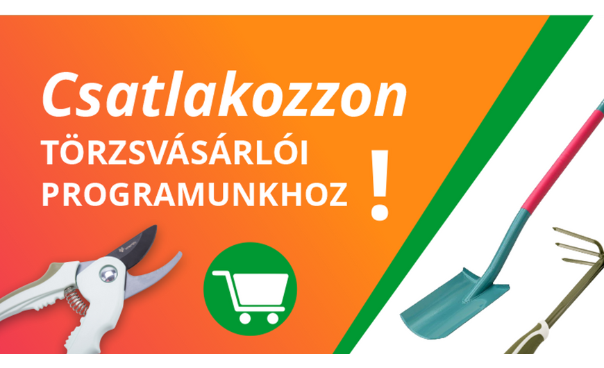 Törzsvásárlói program