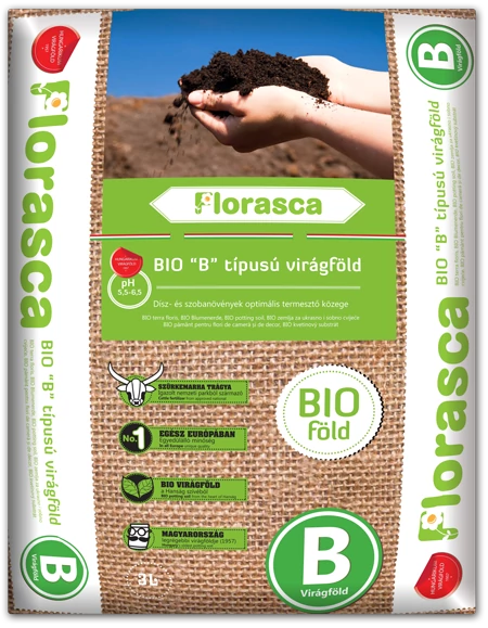 Florasca B Viragfold () Florasca B Viragfold