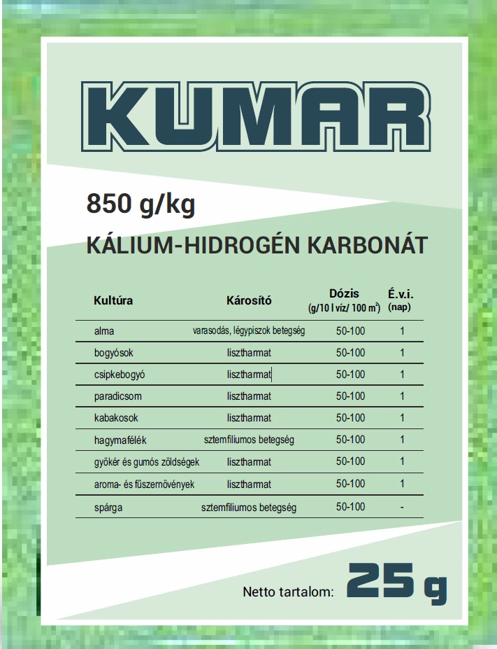Kumar