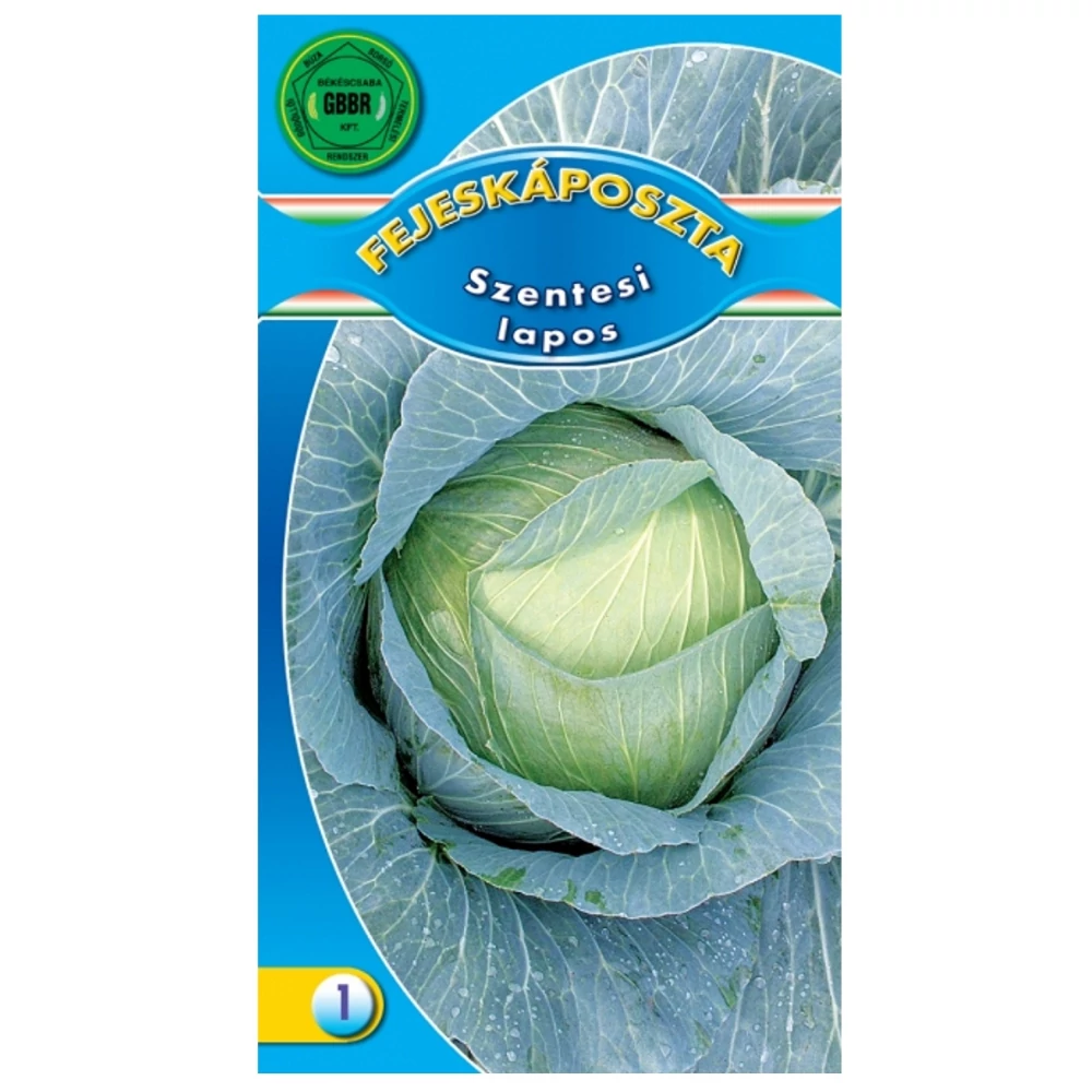 Fejes káposzta - Szentesi lapos - Kései lapos fejű