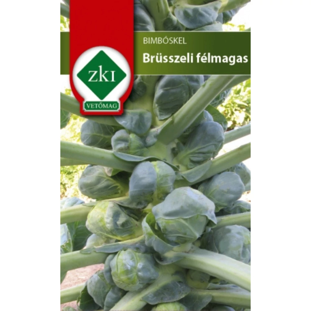 Bimbóskel - Brüsszeli félmagas